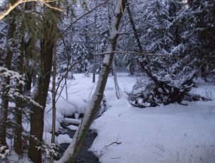 Winter stream