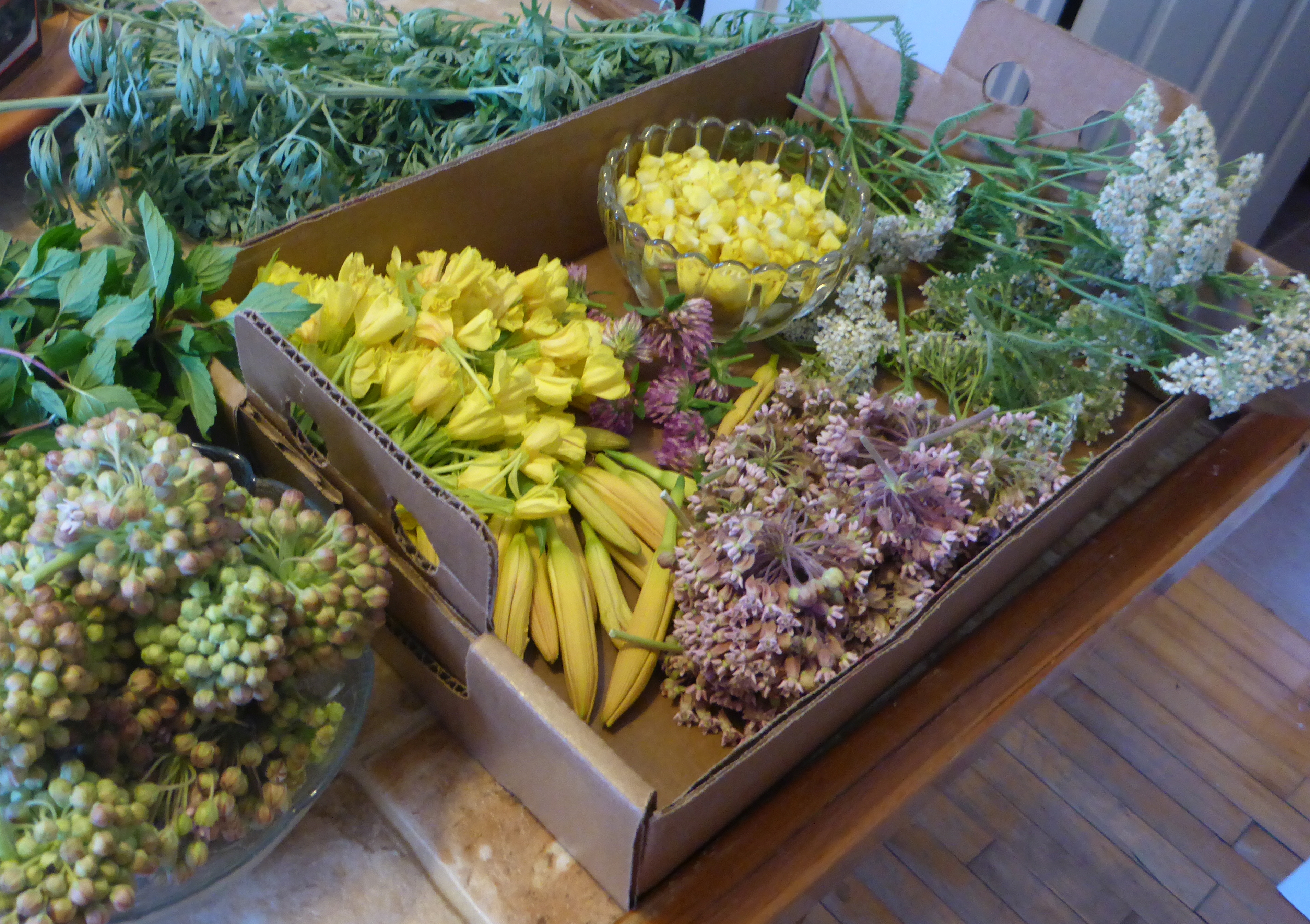Harvest Time – Reaping Our Rewards – Soul of the Seasons: